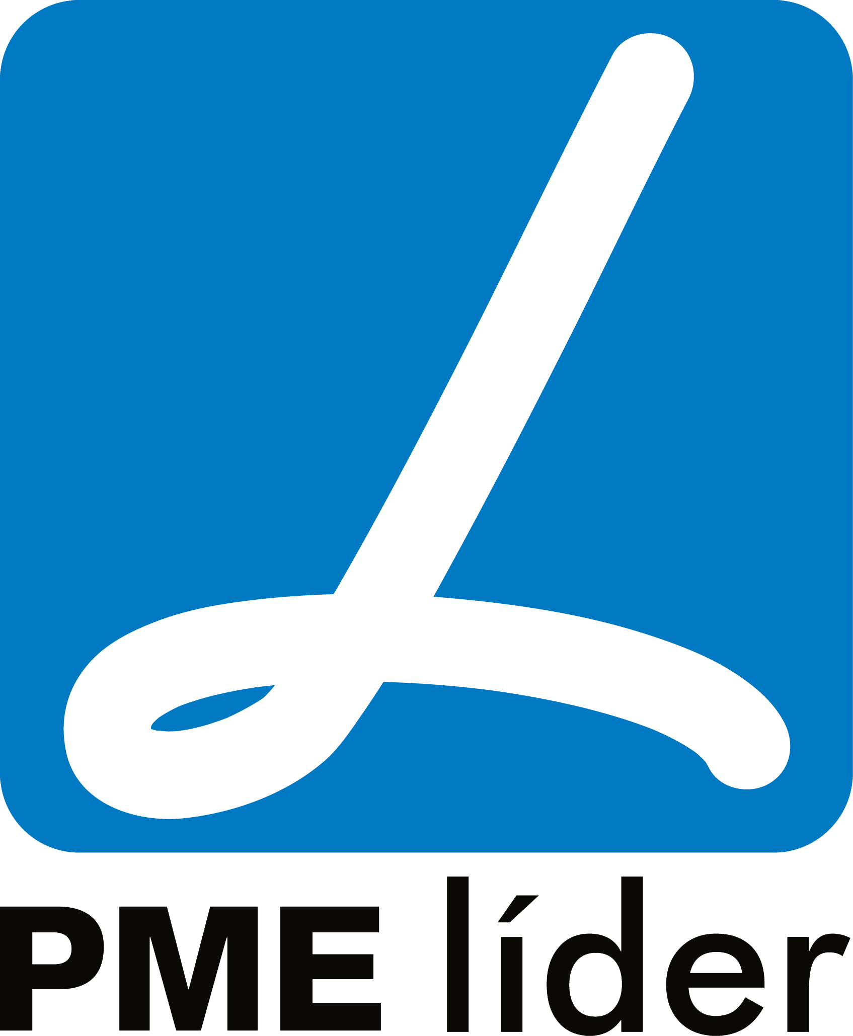 PME líder